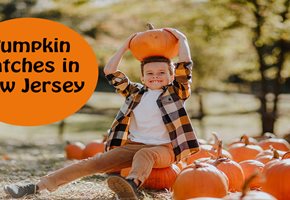 Find The Best Pumpkin Patches in New Jersey 